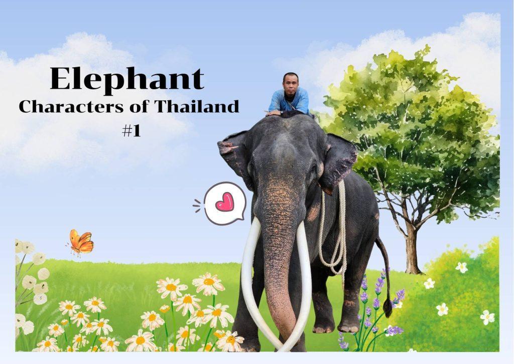 Cover image of Muturaja, a Thai elephant, with his mahout riding on his neck, set against a cartoon-style background for Elephant Characters of Thailand #1