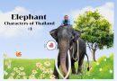 Cover image of Muturaja, a Thai elephant, with his mahout riding on his neck, set against a cartoon-style background for Elephant Characters of Thailand #1